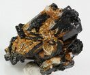 Goshenite on Schorl - Erongo Mountains #31882-1
